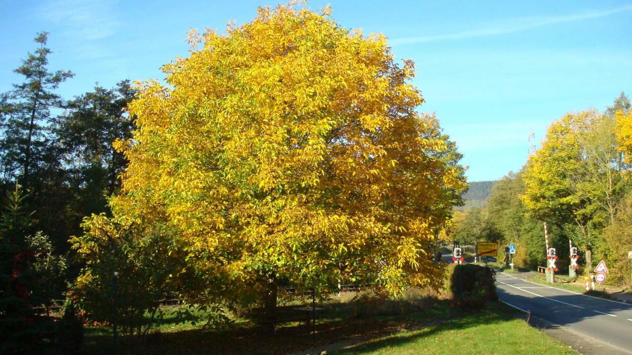 Appartamento Haus Am Teutoburgerwald Sandebeck Esterno foto